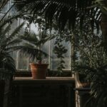 Planten