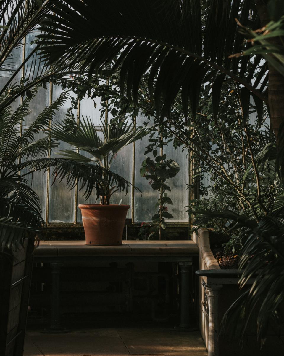 Planten